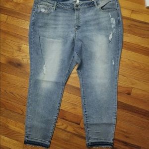 Lane Bryant size 28 distressed jeans